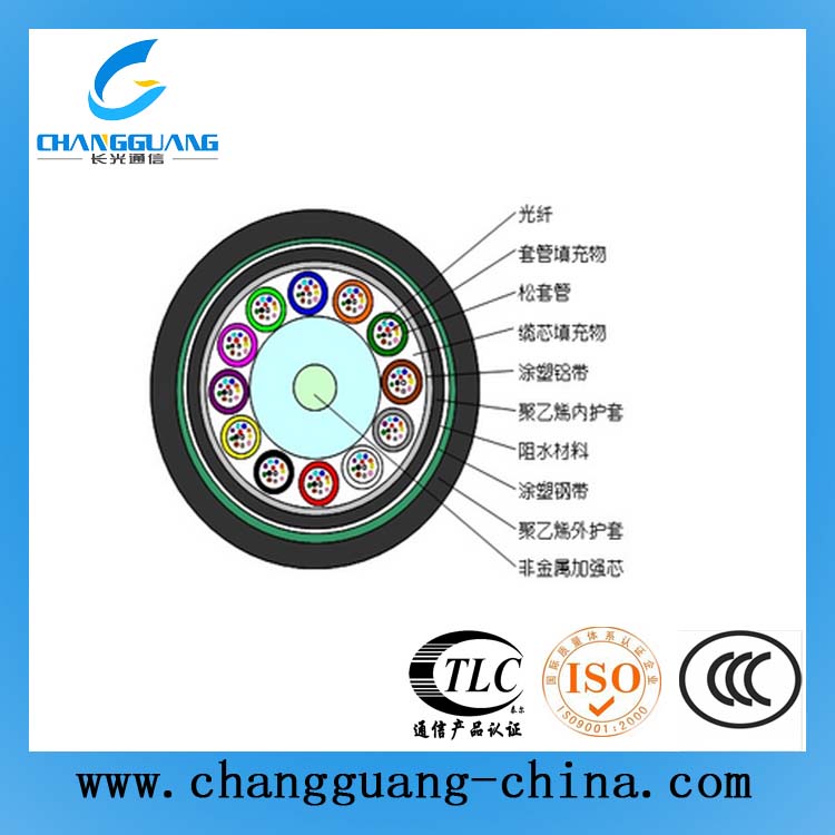 松套層絞式非金屬加強(qiáng)芯鎧裝光纜(GYFTA53)