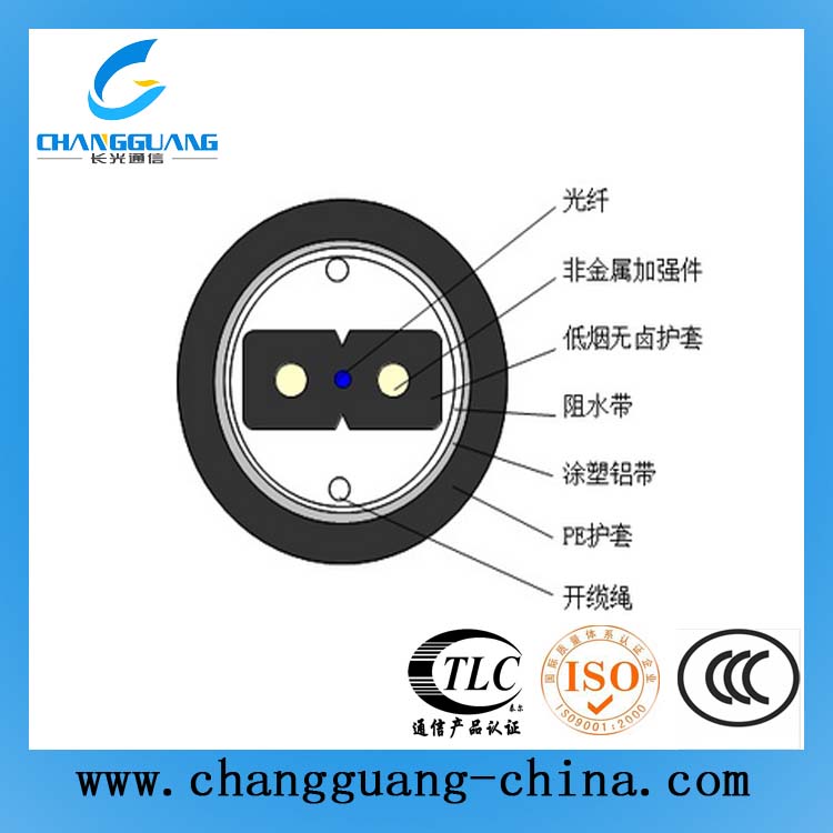接入網用蝶形引入室內光纜(GJXFH)